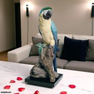 Lladró Macaw Bird Sculpture  SKU: 01008388