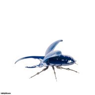 Lladro Hercules Beetle Figurine SKU: 01009426