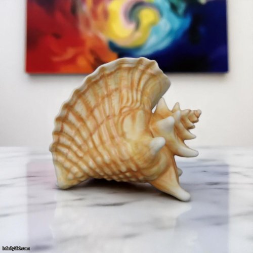 Herend Sea Shell Figurine – Hand-Painted Porcelain Sculpture from Hungary Art. No.: 15574000MCD | Brand New | Authentic Herend