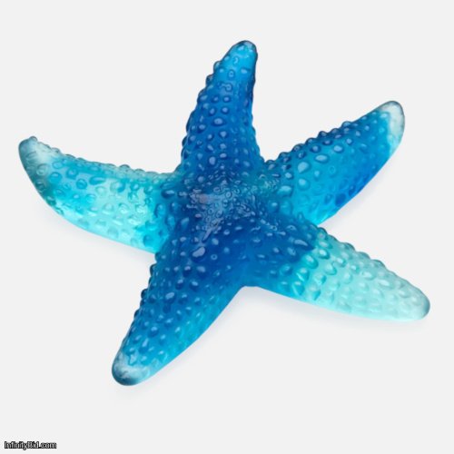 Daum Mer de Corail Starfish – Blue SKU: 05711