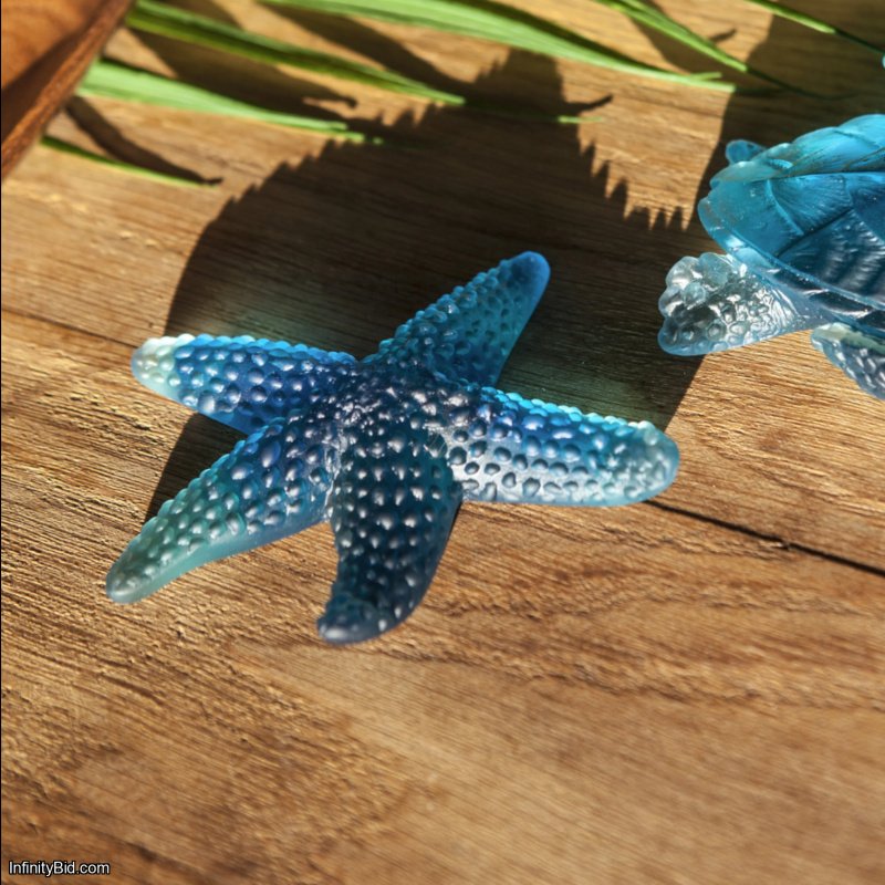 Daum Mer de Corail Starfish – Blue SKU: 05711