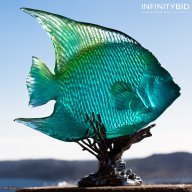 Daum Turquoise Royal Angelfish – Mer de Corail Collection – SKU: 05729-3