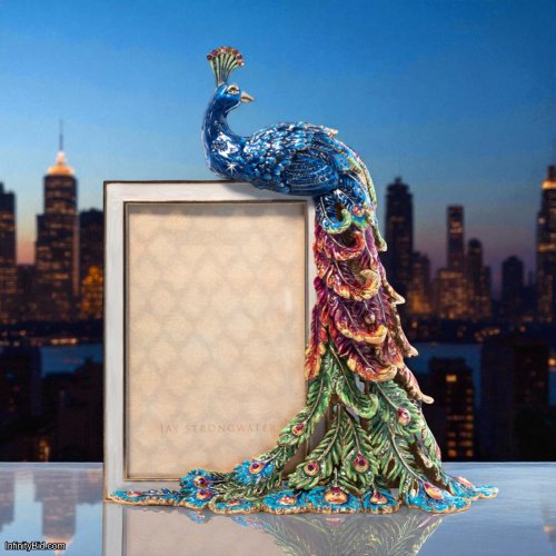 Jay Strongwater Eve Rainbow Peacock 4" x 6" Frame – Hand-Enameled Photo Frame with Swarovski® Crystals SKU: SPF5758-202