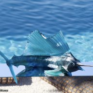 Daum Maya – Emperor Sailfish Sculpture Limited Edition of 50  SKU: 05825